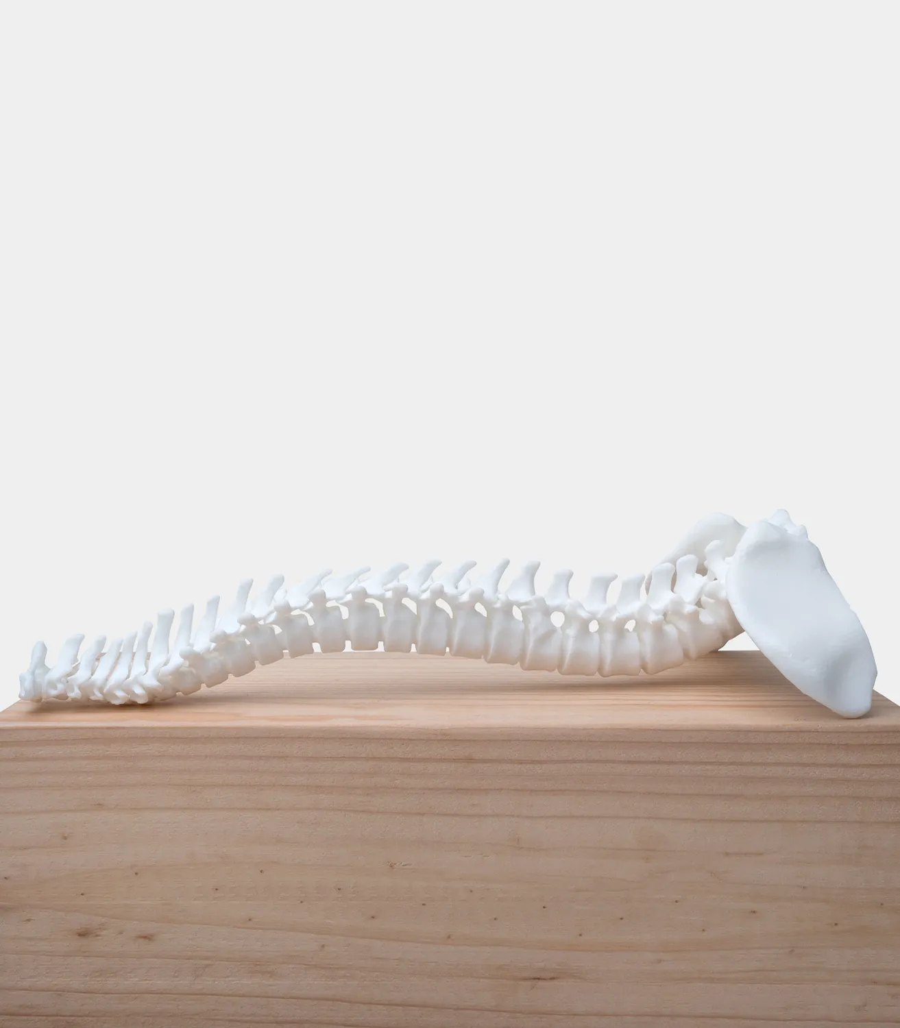Phrozen Engineering Rigid Ceramic Resin